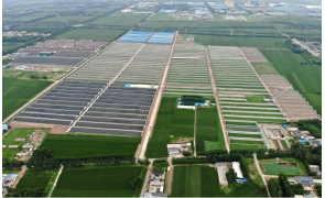 中國500強信發集團農業園區項目