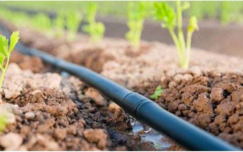 節水灌溉
